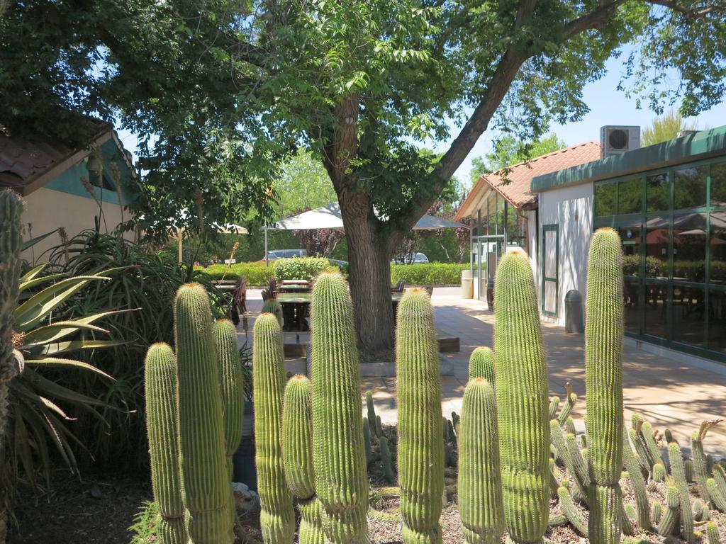 Hotel Camping La Pineda De Salou Zewnętrze zdjęcie
