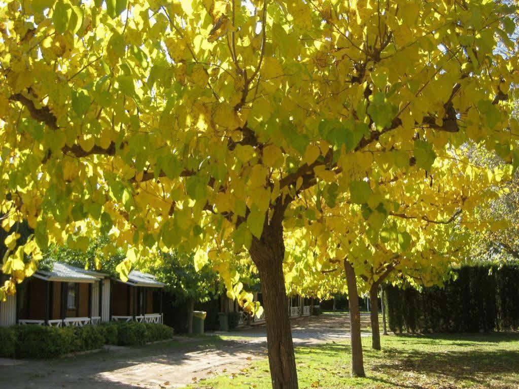 Hotel Camping La Pineda De Salou Zewnętrze zdjęcie
